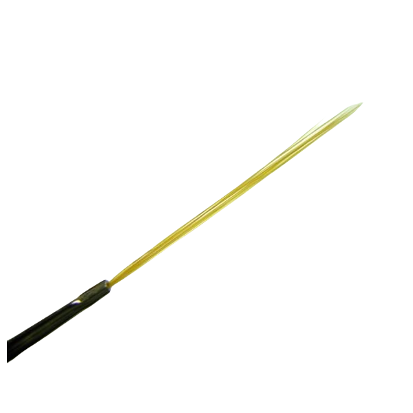 p20519 2.png