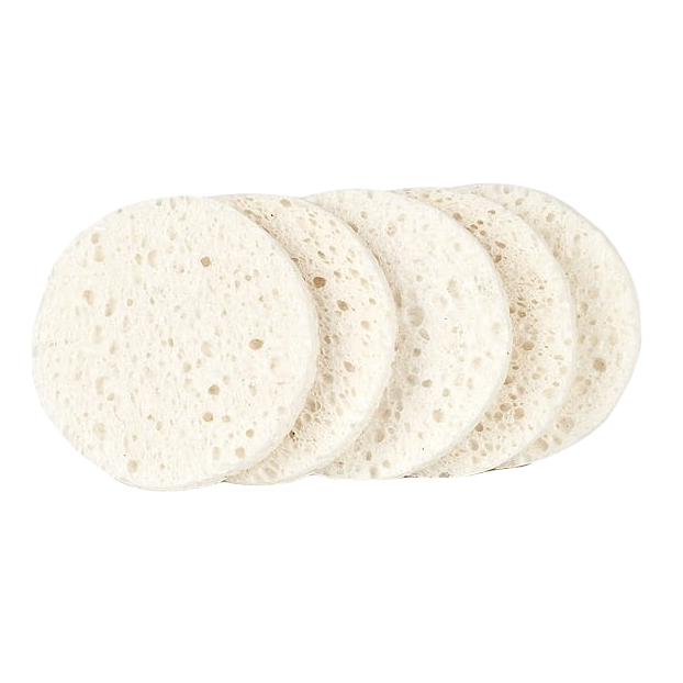 gąbki 5.png
